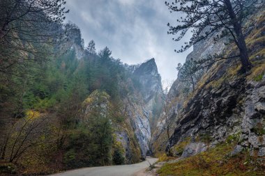 Kayalık boğazdan geçen bir yol. Slovakya 'nın kuzeybatısındaki Maninska Vadisi, Avrupa.