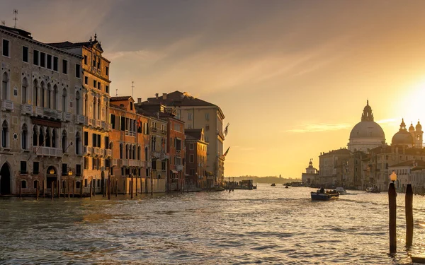 Der Canal Grande Venedig Mit Der Basilika Santa Maria Della — Stockfoto