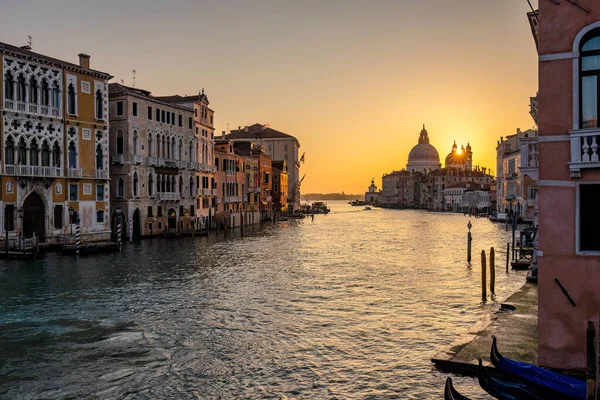 Der Canal Grande Venedig Mit Der Basilika Santa Maria Della — Stockfoto