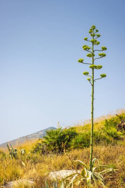 Sicilya, dağlık iç kesimlerin manzarası. Antik Segesta, İtalya, Avrupa yakınlarındaki ada..