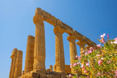 Tapınaklar Vadisi 'ndeki Juno Tapınağı. Sicilya, İtalya ve Avrupa 'da Agrigento' daki arkeolojik alan.