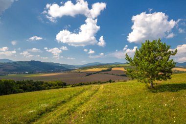 Bir bahar manzarasında, Slovakya 'da, Avrupa' da bir çayırda toprak bir yol..