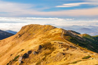 Sonbaharda dağ manzarası. Mala Fatra Ulusal Parkı, Slovakya, Avrupa.