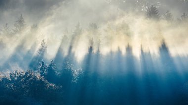 Sonbahar manzarası, sis içindeki ağaçları aydınlatan güneş ışınları. Sulov Kayalıkları, Slovakya, Avrupa 'nın kuzeybatısında ulusal doğa rezervi..