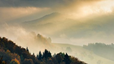 Sonbahar sisli dağ manzarası sabah güneşinin bulutlarda parlaması. Slovakya 'nın Orava bölgesi, Avrupa.