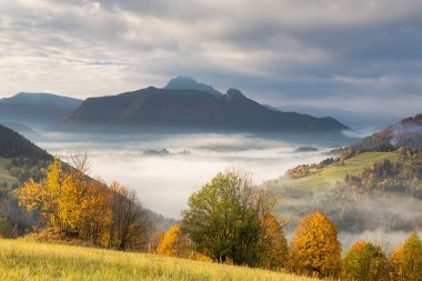 Sonbahar sisli sabahında dağlık kırsal alan. Slovakya 'nın kuzeybatısındaki Mala Fatra Milli Parkı, Avrupa.