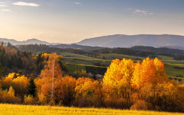 Sonbahar güneşli kırsal alan ve arka planda dağlar. Slovakya 'nın Orava bölgesi, Avrupa.