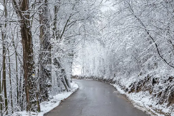 Väg Genom Ett Vinterlandskap Med Snötäckta Träd — Stockfoto