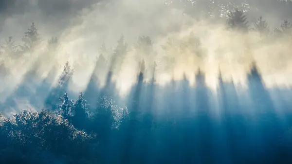 Осенний Пейзаж Солнечные Лучи Освещающие Деревья Тумане Скалы Сулова Национальный — стоковое фото