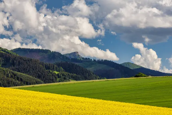 油種レイプのフィールドと春の風景 丘や背景に劇的な雲と青空 スロバキアのRajecka渓谷からの黒い丘 ヨーロッパ — ストック写真
