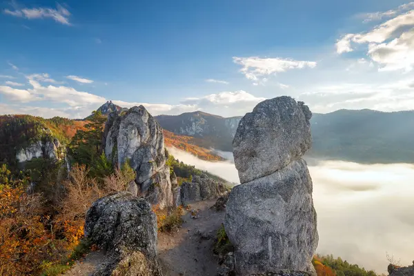 秋天的早晨 多雾的山谷笼罩着山水 苏洛夫岩石 斯洛伐克西北部的国家自然保护区 — 图库照片