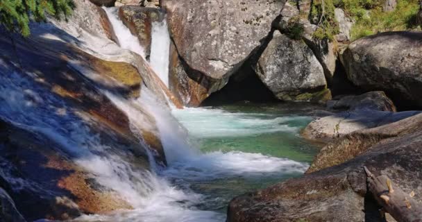 茂密的溪流中瀑布瀑布的详细视图 位于斯洛伐克 欧洲塔特拉山国家公园的冷溪瀑布 慢镜头4K100Fps — 图库视频影像