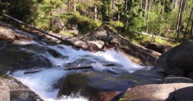 Bereketli bir derede çağlayan şelale. High Tatras Ulusal Parkı 'ndaki Cold Creek Şelaleleri, Slovakya, Avrupa. Yavaş çekim 4k 50fps görüntü.