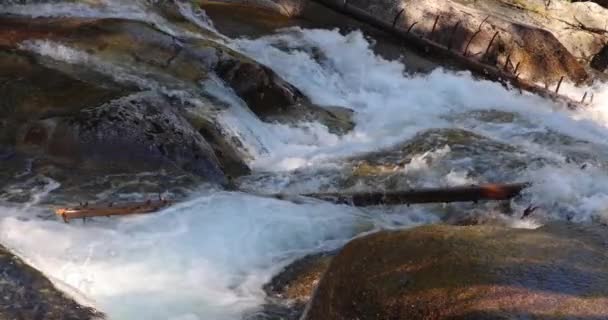 在茂密的溪流中瀑布成串 位于斯洛伐克 欧洲塔特拉山国家公园的冷溪瀑布 慢镜头4K100Fps — 图库视频影像