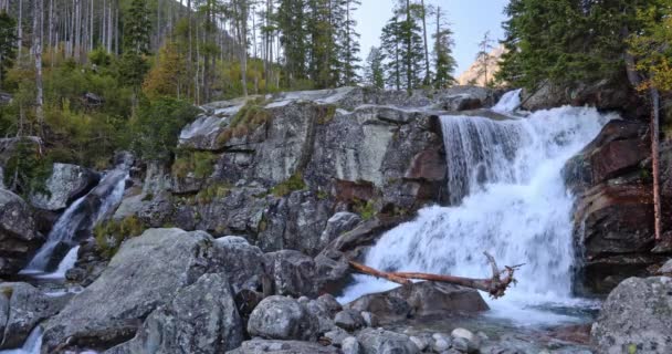 在茂密的溪流中瀑布成串 斯洛伐克 塔特拉山国家公园的冷溪瀑布 — 图库视频影像