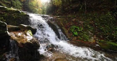 Güzel bir arka planda şelalesi olan sonbahar manzarası. Mala Fatra Ulusal Parkı, Slovakya, Avrupa 'daki kayalık vadi Dolne Diery. Yavaş çekim 4k 100fps.