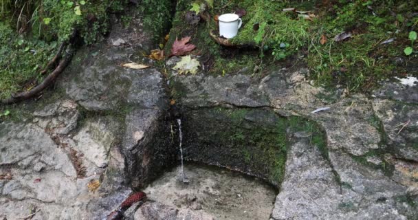 Studnia Bieżącą Wodą Wyrzeźbioną Skale Skalisty Wąwóz Dolne Diery Parku — Wideo stockowe