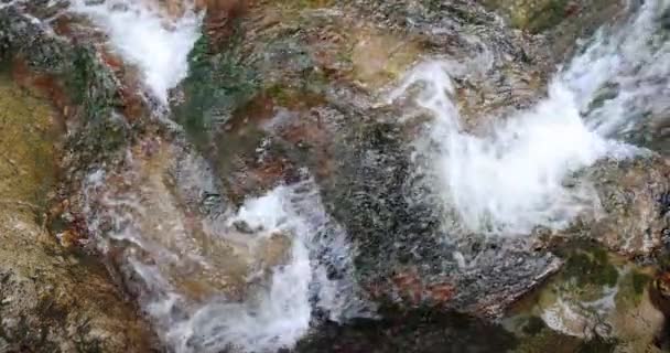 Vista Superior Las Cascadas Arroyo Salvaje Desfiladero Rocoso Dolne Diery — Vídeos de Stock