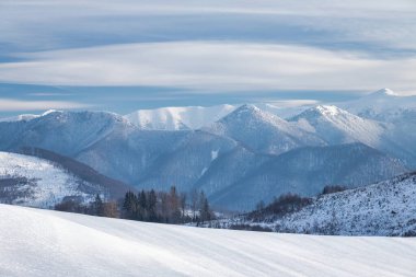 Arkasında dağlar olan karlı bir manzara. Slovakya, Avrupa 'daki Mala Fatra Milli Parkı.