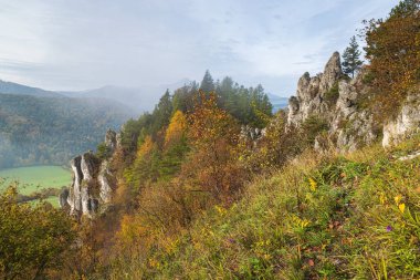 Sonbahar sisli sabahında dağlık kayalık bir arazi. Strazov Dağları 'ndaki Podskalsky Rohac Tepesi Korunan Peyzaj Alanı, Slovakya, Avrupa.