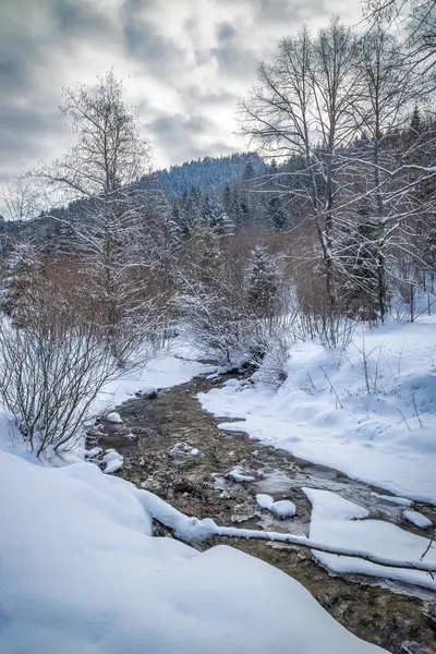 Śnieżny Zimowy Krajobraz Dzikim Strumieniem Park Narodowy Mala Fatra Słowacji — Zdjęcie stockowe