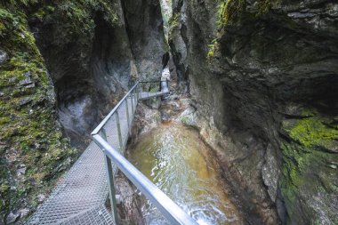 Mala Fatra Ulusal Parkı, Slovakya, Avrupa 'daki Dolne Diery kayalık geçidi üzerindeki yaya köprüsü..