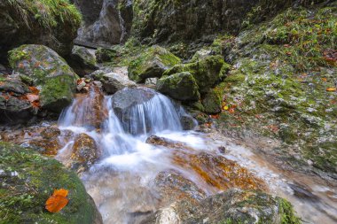 Sonbaharda ormandaki bir derede şelale. Mala Fatra Ulusal Parkı, Slovakya, Avrupa 'daki kayalık vadi Dolne Diery..