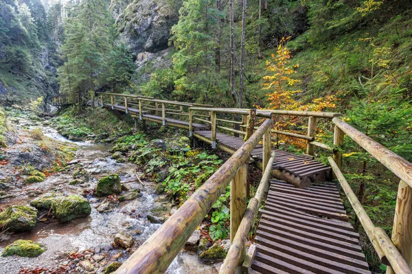 秋天森林里一座横跨溪流的木制人行天桥 欧洲斯洛伐克的Mala Fatra国家公园 — 图库照片