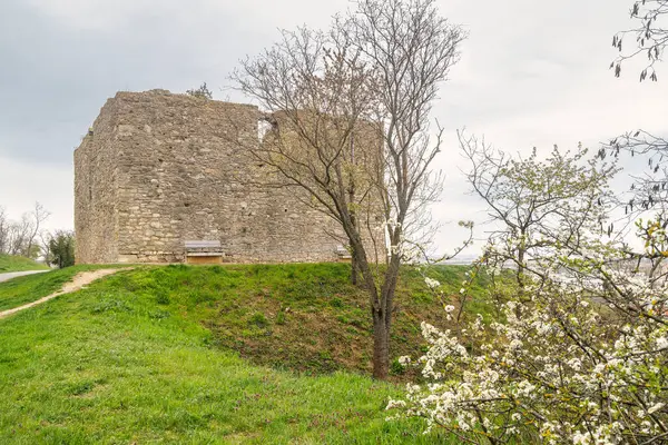 Tabor harabesi, Neusiedl am 'da ortaçağ tahkimatı Göl, Avusturya, Avrupa.