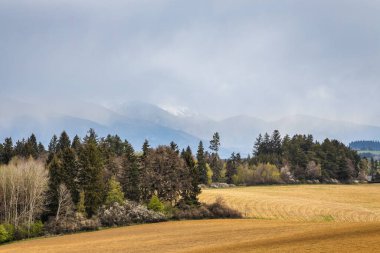 Arka planda çiçek açan ağaçlar ve dağlar olan bahar manzarası. Slovakya, Avrupa 'daki Mala Fatra Milli Parkı.