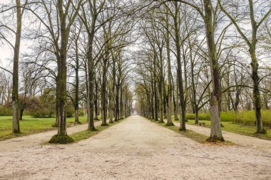 Fertod, Macaristan, Avrupa 'daki Eszterhaza şato parkındaki ağaçlar..
