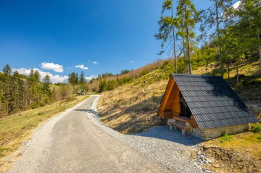 Slovakya yakınlarındaki orman yolunun yanında. Polonya sınırı..