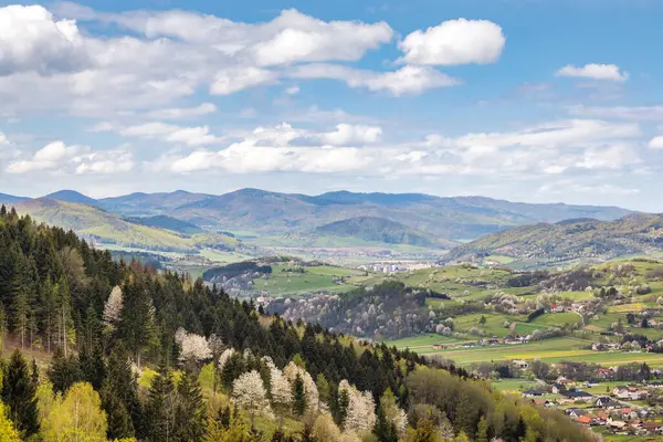 Paesaggio Primaverile Con Alberi Fiori Prati Verdi Villaggio Hrinova Slovacchia Foto Stock Royalty Free