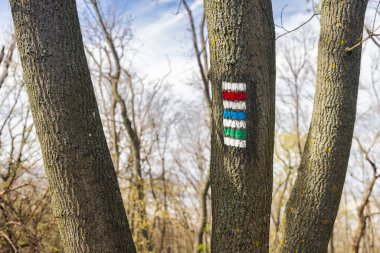 Ağaç gövdelerinde yürüyüş işaretleri