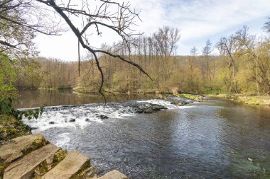 Çek Cumhuriyeti 'nin Güney Moravya Bölgesi, Avrupa' daki Znojmo kasabası yakınlarındaki Podyji Ulusal Parkı 'ndaki Dyje Nehri.