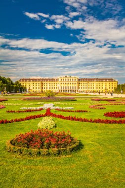 VIENNA, AUSTRIA - 29 AĞUSTOS 2013: Bahçeye bakan Schonbrunn Sarayı.