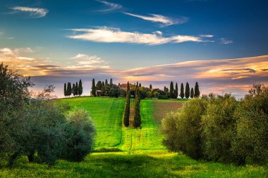 SAN QUIRICO D 'ORCIA, İTALYA - 2 Mayıs 2019: Baharda bir selvi ve çiftlik eviyle manzara.