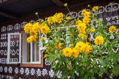 CICMANY, SLOVAKIA - 25 Mayıs 2019: Zilina Bölgesindeki Cicmany köyünün halk mimarisi. Ahşap evlerin ön cephelerinde karakteristik desenler.