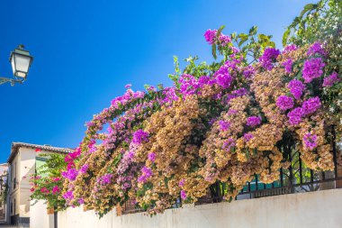 İspanya 'nın Granada kasabası. Canlı bougainvillea çiçekleri bir duvarın üzerinde çağlayarak berrak mavi gökyüzüne karşı çarpıcı bir renk gösterisi oluşturur..
