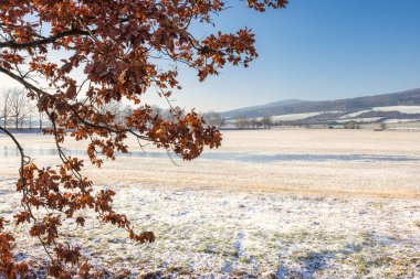 Güneşli bir günde karlı bir ülke. Çek Cumhuriyeti, Avrupa 'da Bölge Pilsen.