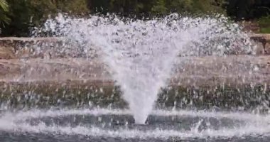 Endülüs, İspanya, Avrupa 'daki Malaga şehrindeki La Concepcion Tarihi Botanik Bahçesi. Su fıskiyesi bir park ortamında serinletici ve huzur verici bir sahne yaratıyor..