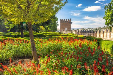 Granada kasabasındaki Alhambra kompleksi, Endülüs, İspanya. Titrek çiçekler titizlikle manikürlü bir bahçede çiçek açarlar. Arkasında tarihi bir duvar ve kule vardır. Güneşli bir gün.