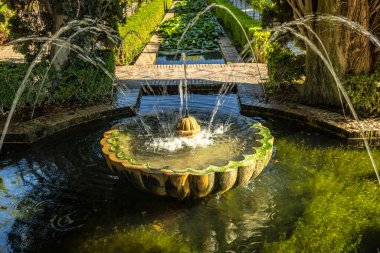Granada kasabası, Endülüs, İspanya 'daki Alhambra kompleksindeki Generalife Sarayı. Yükselen su ve yemyeşil sularla dolu sakin bir bahçe çeşmesi. Sakin açık hava sahnesi.