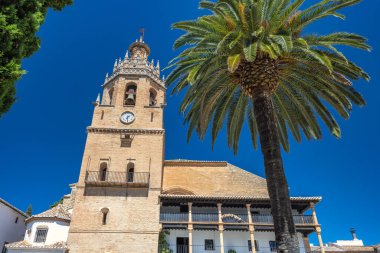 İspanya 'nın Ronda kasabası. İspanyol kilise kulesi ve palmiye ağacı parlak mavi gökyüzüne karşı. Resimli güneşli bir gün..