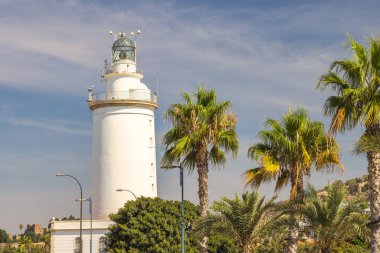 Malaga, Endülüs 'te deniz kenti, İspanya, Avrupa. Beyaz deniz feneri, bereketli palmiyelerle çevrili parlak mavi bir gökyüzüne karşı dimdik ayakta duruyor. Resimli bir sahil manzarası..