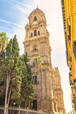 Malaga, Endülüs 'te deniz kenti, İspanya, Avrupa. Uzun taş katedral kulesi, güneş ışığı binanın ön cephesini aydınlatıyor ve sıcak bir ortam yaratıyor. Çerçevesi yemyeşil ağaçlarla dolu.