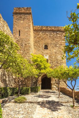Alcazaba, Endülüs, İspanya, Avrupa 'daki Malaga şehrindeki saray ve kaleler. Tarihi taş geçit, güneş ışığı tarihi bir taş yapı içindeki yemyeşil ağaçlar tarafından çerçevelenmiş bir yolu aydınlatıyor..