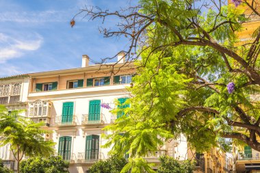 Malaga, Endülüs 'te deniz kenti, İspanya, Avrupa. Akdeniz mimarisi, yemyeşil ağaçları ve canlı çiçekleri var. Güzel bir şehirde güneşli bir gün..