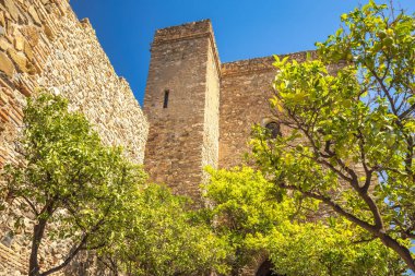 Alcazaba, Endülüs, İspanya, Avrupa 'daki Malaga şehrindeki saray ve kaleler. Antik taş kule ve duvarlar, parlak mavi gökyüzünün altında yemyeşil narenciye ağaçlarıyla çevrili..