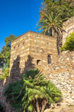 Alcazaba, Endülüs, İspanya, Avrupa 'daki Malaga şehrindeki saray ve kaleler. Antik taş kule ve duvar, güneş ışığıyla yıkanmış, bereketli palmiye ağaçları sahnenin sükunetini artırıyor..